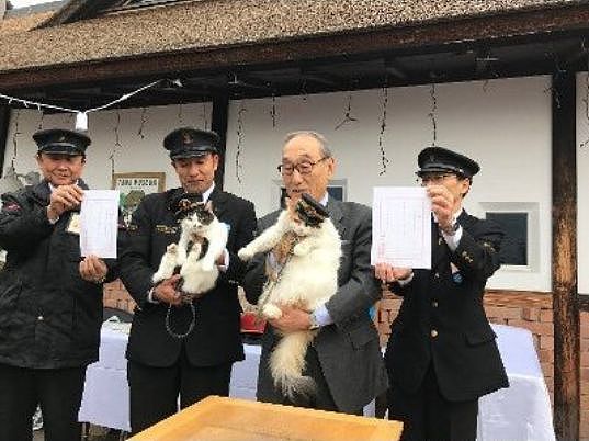 日本超人气猫站长升职啦，在它的升职演讲上，它一开口就让人... - 6