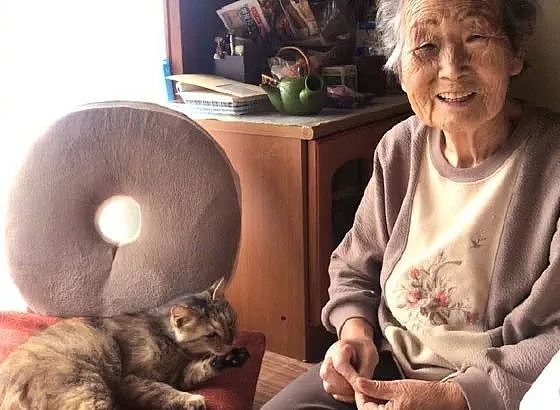 93岁的老奶奶，每天还在编织杯垫卖，只为给流浪猫换猫粮钱！ - 5