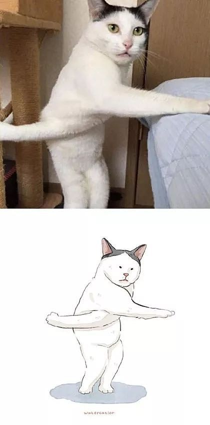 这位画师把网上的沙雕猫猫图，画成了插画，这画风也太可爱了！ - 17