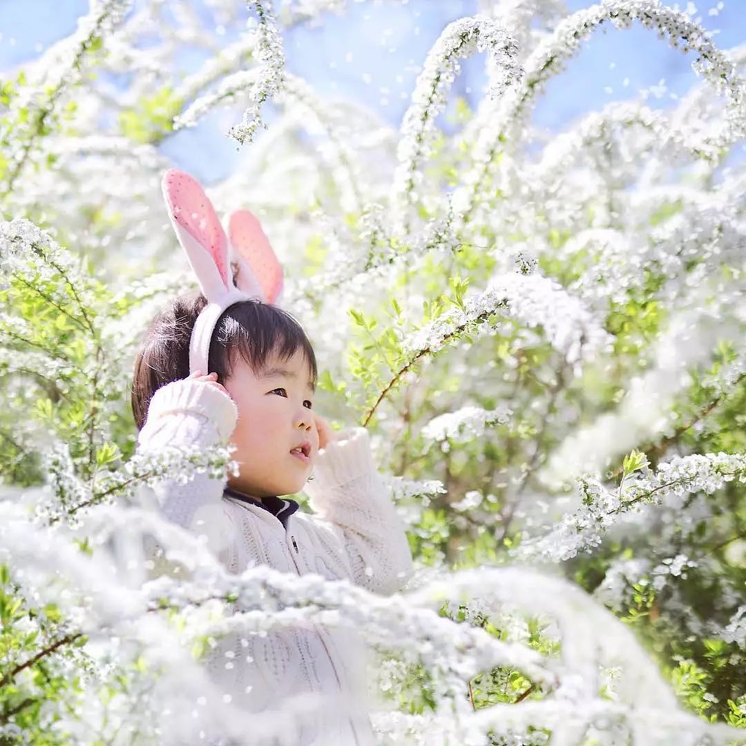 日本妈妈偷拍樱花树下的儿子，美成宫崎骏童话，治愈无数人 - 25