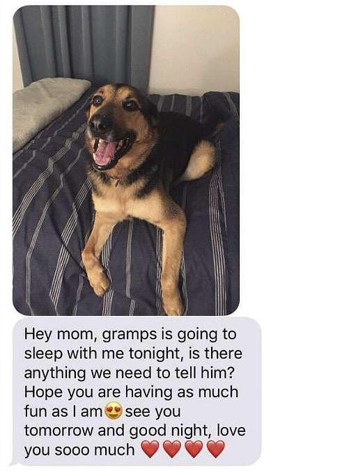女儿出差时把狗子交给爸爸养，却意外收到了这样的短信…… - 5