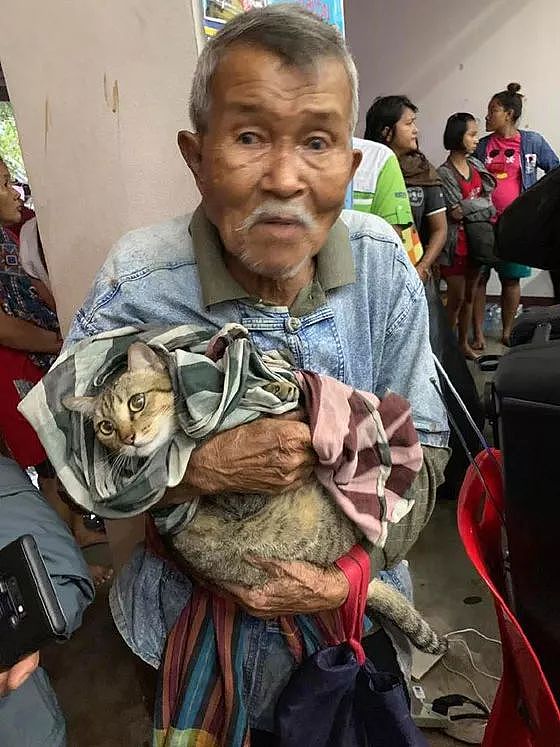 网友拍到这一幕，一老爷爷抱着一只猫，这和谐的面面让人好暖... - 1