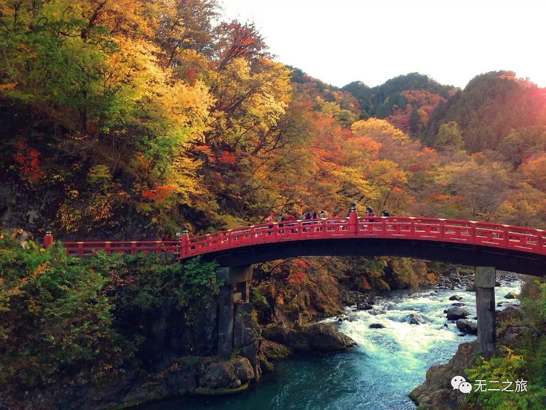 日本推荐 | 11月错峰日本游，才是真正的跳！水！价！ - 39