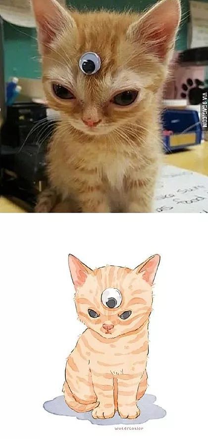 这位画师把网上的沙雕猫猫图，画成了插画，这画风也太可爱了！ - 14