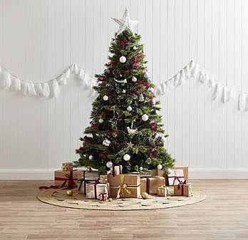 你家的圣诞树亮起来了吗？看看澳洲哪里可以买到你最中意的圣诞树！ - 32