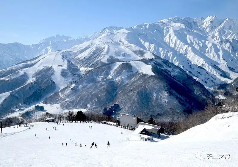 日本超小众玩法！比北海道更顶级的滑雪天堂！堪比瑞士风光！ - 22