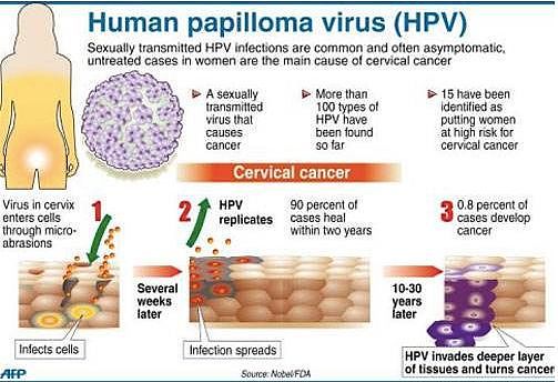 超过26岁的人群可以打HPV九价疫苗吗？ - 17