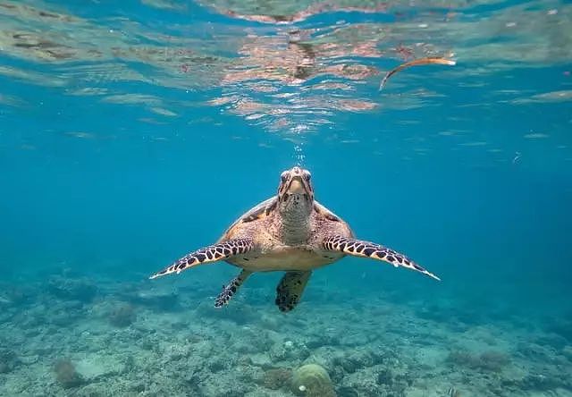 2018最受欢迎的超冷门海岛！不仅免签，还有全世界最美的海滩！ - 11