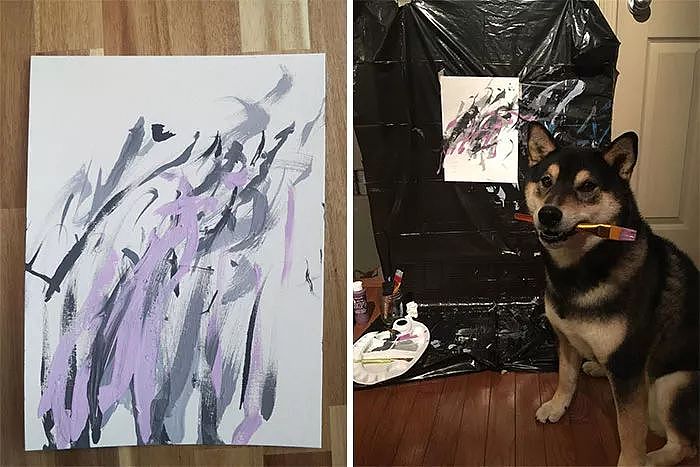 不相信吧？连狗狗都可以做艺术家啦 - 7