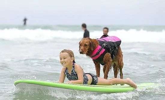 让狗狗带人冲浪，这个海滩的服务也太赞了吧！ - 7