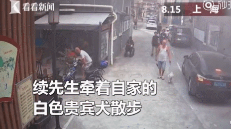 警方跨省抓狗？是的，这件事在上海发生了! - 3