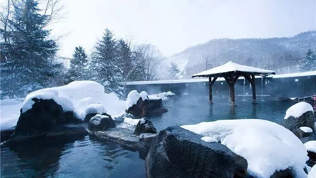 日本线路 | 冬天的北海道，是《情书》里最撩人的日本！ - 14