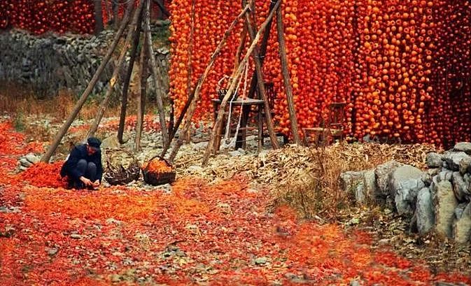 柿子红了，秋意浓了，这12个绝美意境古村落，第一个就心动了！ - 47