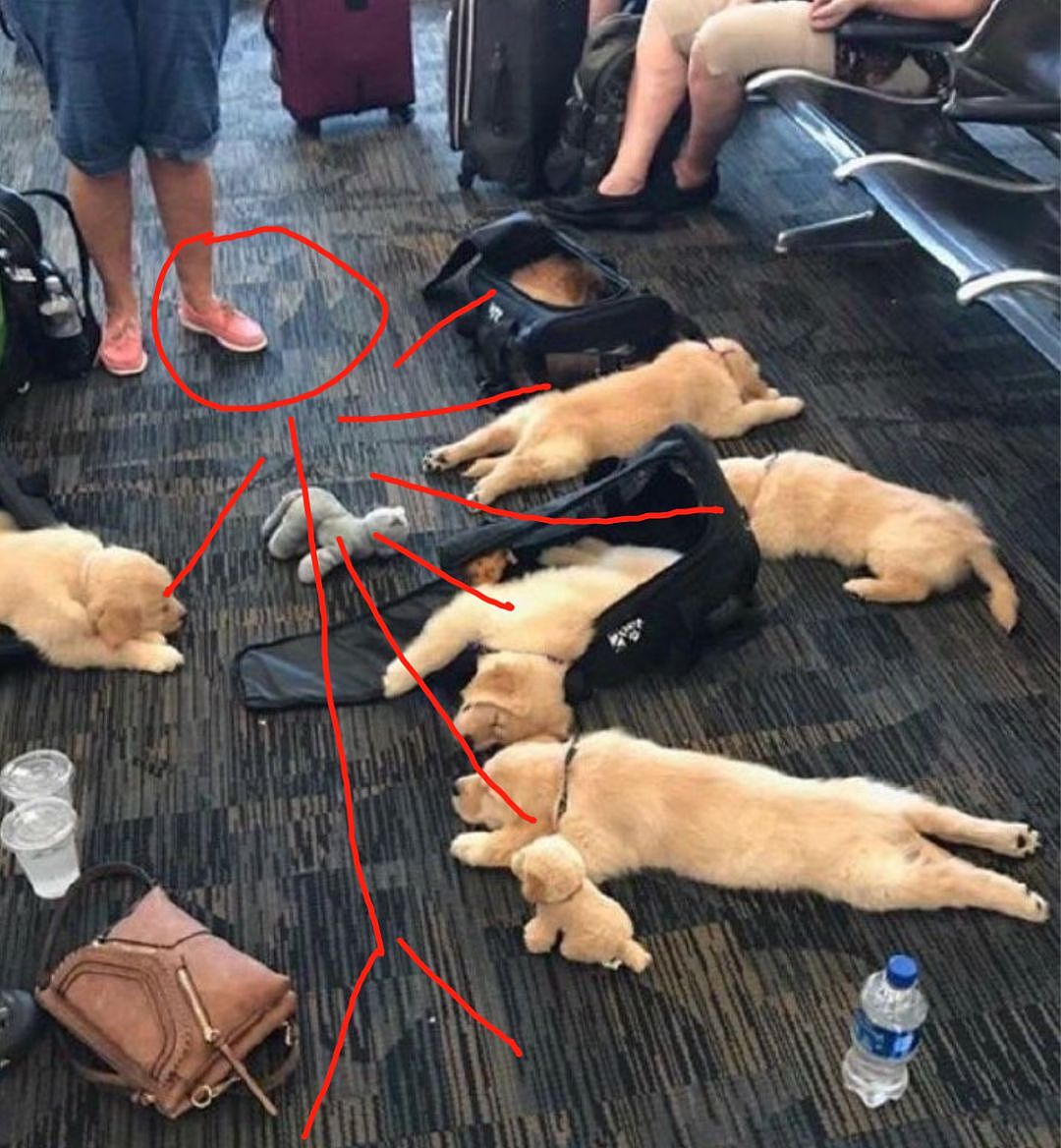 航班延误，一群旅客竟然躺在地上睡觉，这也太过分...萌了吧！ - 3