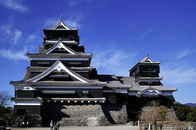 日本城堡防御战的产物：你家青蛙旅行的第一站为啥是这儿？ - 10