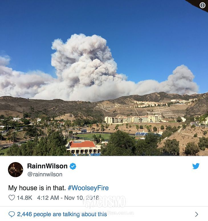 看世界 | 人们逃离加州大火时，没有忘记动物伙伴 - 19
