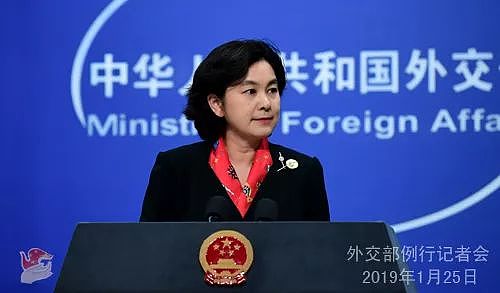 外交部反驳“中国是开放社会最危险的对手” - 2