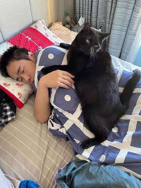 好不容易周末想多睡一会，一大早就被17斤的黑猫压着，笑屎！ - 2