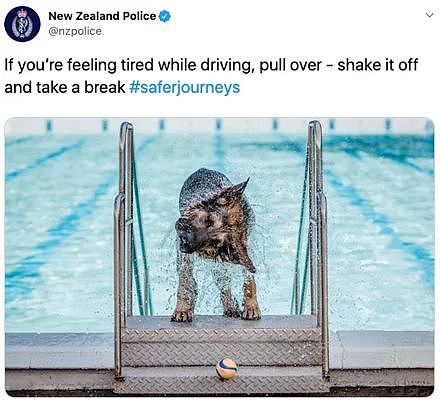 新西兰警方Ins因太爱晒狗被批评：还以为这是萌宠账号！ - 2