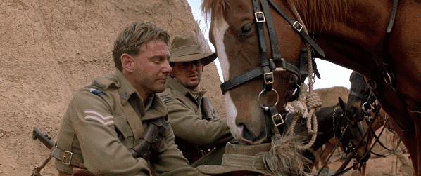 一战不只有机枪与大炮，澳洲牛仔上演骑兵最后的辉煌｜军武电影 - 22