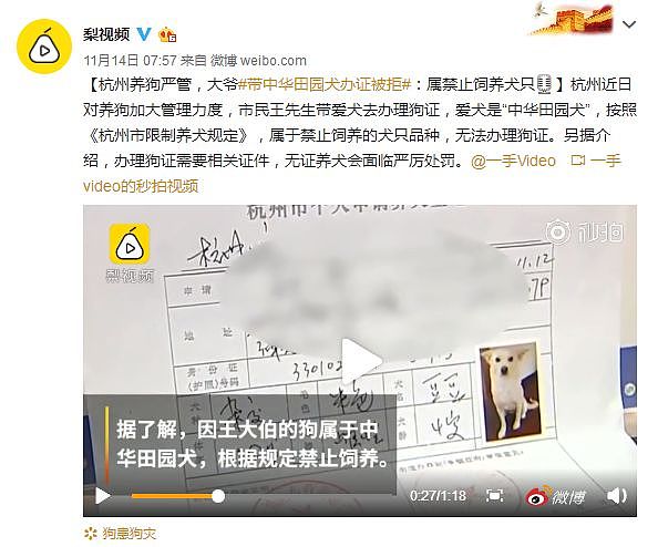 土狗被归属禁养犬，网友：“在中国，竟然不能养中华田园犬？” - 1