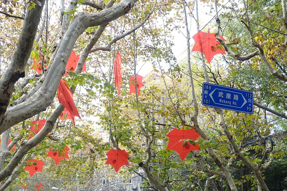 上海最美的秋天，最浪漫的落叶，一定要去这条街 - 8