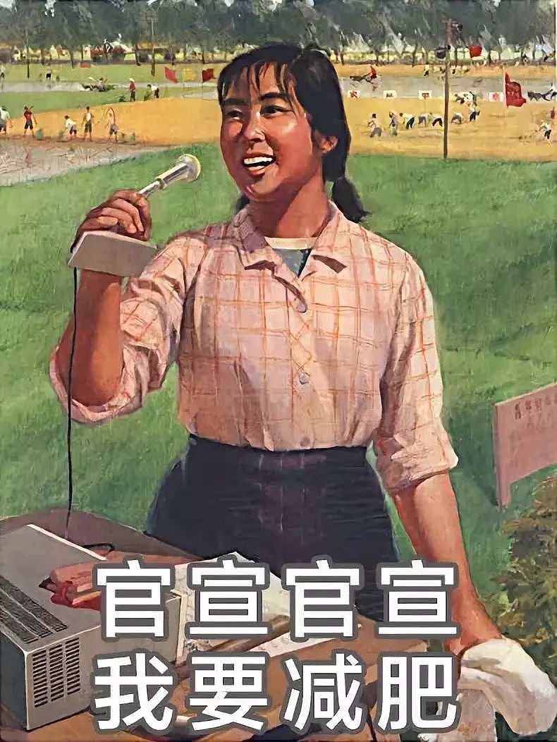 中国女子减肥图鉴，哈哈哈哈哈哈哈哈 - 13