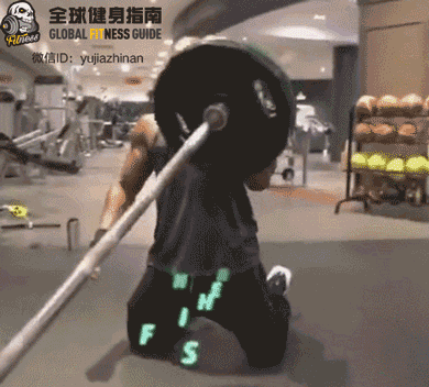 小力王vs乌利塞斯vs肌肉熊猫，为什么他是“最弱”的？！ - 9