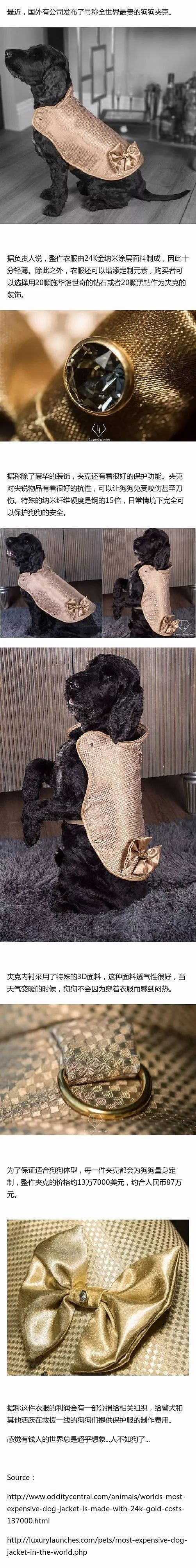 世界上最贵的狗狗衣服，一件将近14万美元..... - 1