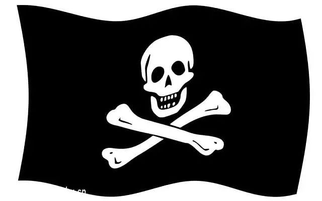 博闻 | 海盗的经济学：一艘海盗船就是一家500强企业，还可以填补政府正义的缺失？ - 5