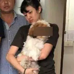 泰国警方抓获了著名大盗，但大家的关注点，都在这只狗身上... - 3