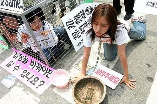 韩国最大狗肉市场要关闭了，超过80只狗狗从市场获救… - 3