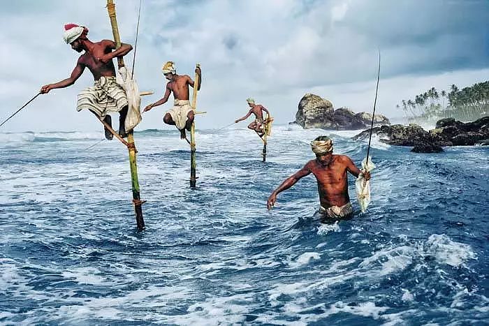斯里兰卡——印度洋的美丽海岛，南亚的“小非洲” - 21