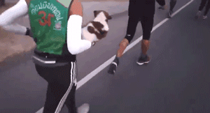 跑马拉松时遇到被遗弃的狗狗，妹子抱着它跑完30公里！ - 5
