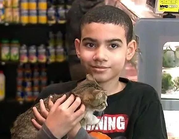 自闭男孩的猫咪好友遭绑架，电视媒体警察都来帮忙抓犯人！ - 7