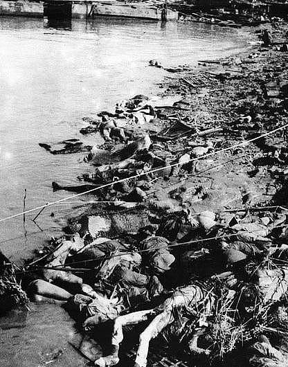 血淋淋的历史：81年前美国人拍下的南京大屠杀真实影像！ - 5