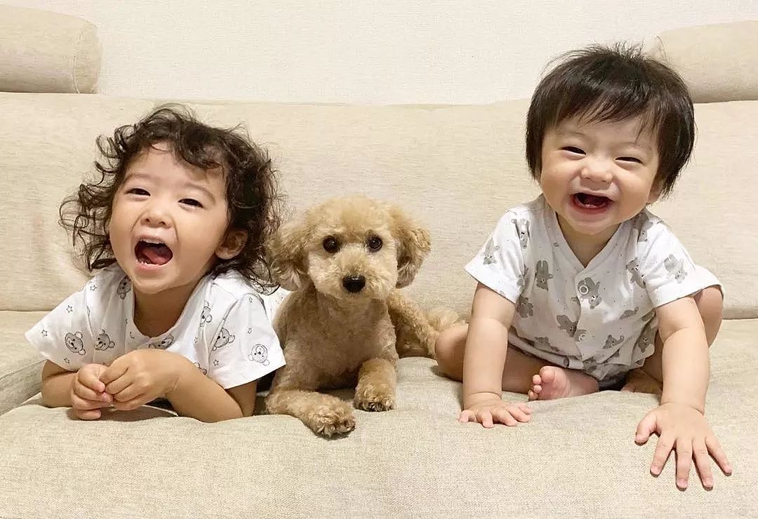 日本妈妈每天给狗狗和孩子拍照，这画风…也太可爱了吧！ - 29