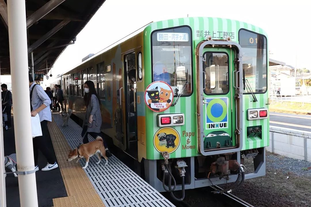 有狗狗同行的地铁、列车和飞机，你愿意坐吗？ - 7