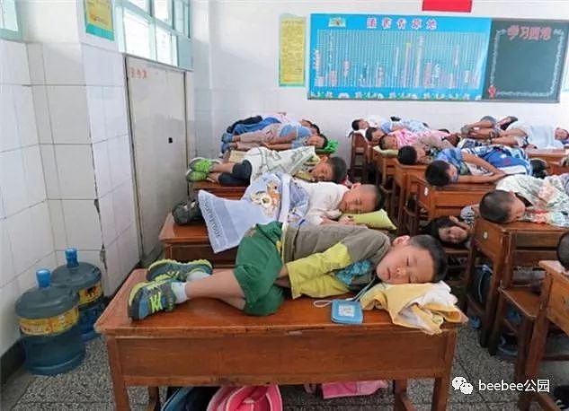 只有中国人能在任何地方睡午觉 - 15