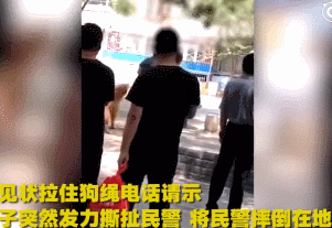 北京丰台查狗事件：主人摔伤了警察，我被送到了留检所…… - 2