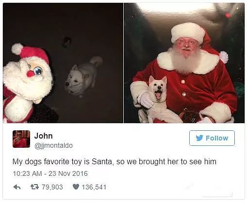 狗狗和最爱的圣诞老人合影，开心的笑脸萌化所有网友！ - 11