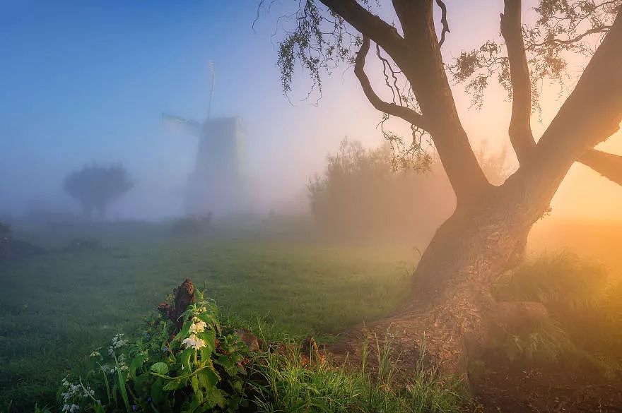 荷兰起雾的时候，很多地方变成了童话场景 - 6