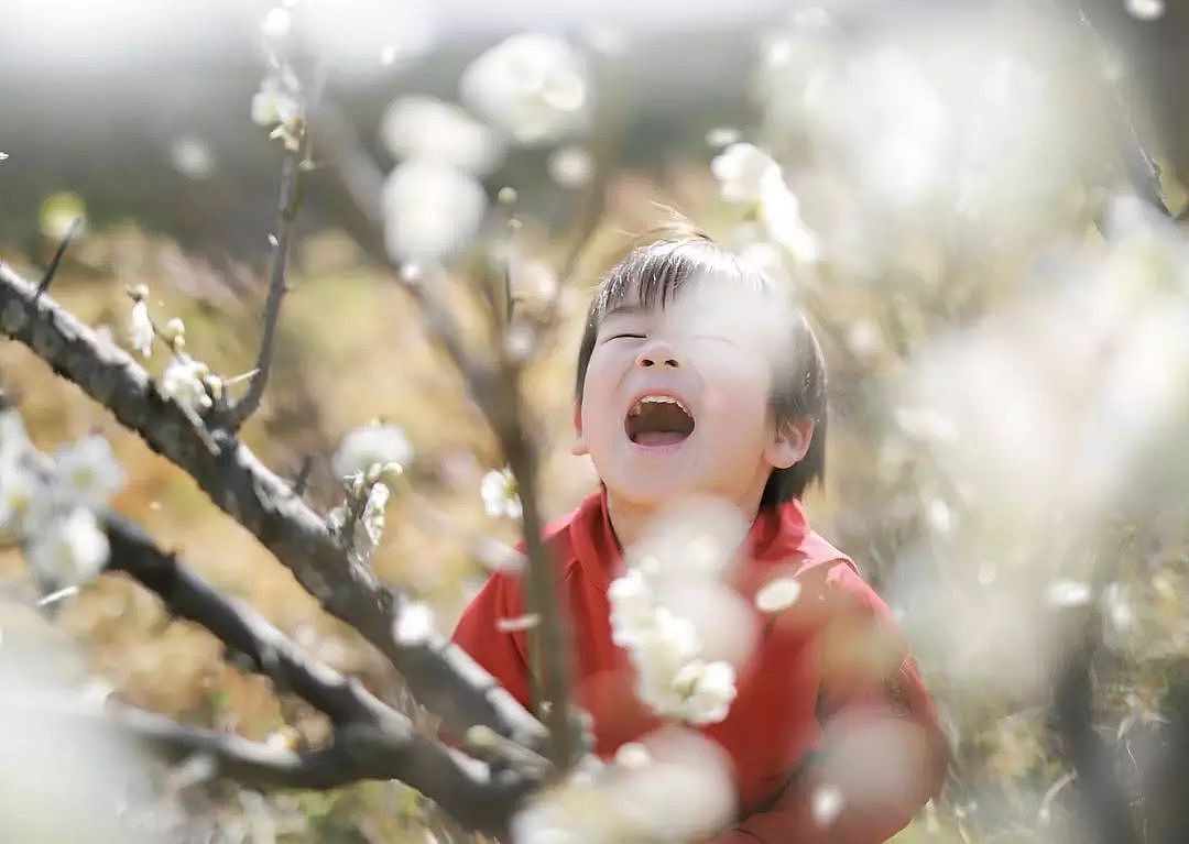 日本妈妈偷拍樱花树下的儿子，美成宫崎骏童话，治愈无数人 - 10