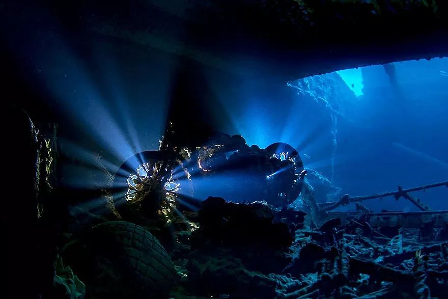 2018年水下摄影师大赛的获奖作品，带你进入一个水下世界 - 11