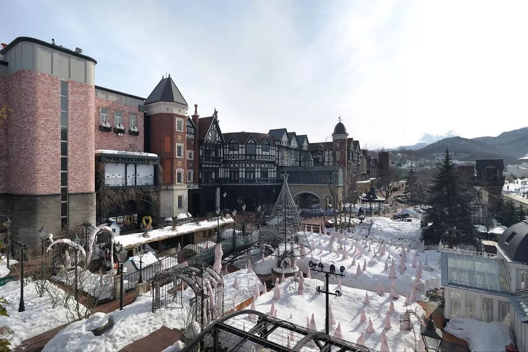 日本线路 | 冬天的北海道，是《情书》里最撩人的日本！ - 28