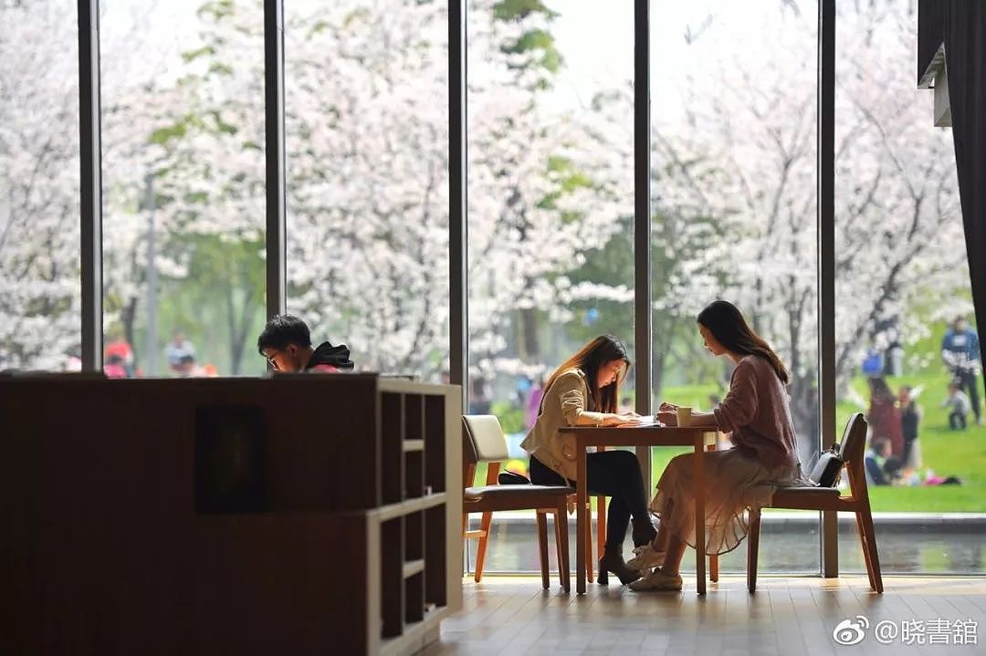 高晓松在杭州开了一家图书馆，把你做过的梦都一一实现了！ - 14