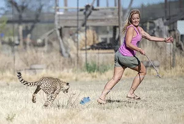 南非女子身患绝症，她养的一只大猫看见刚出院的她竟然... - 11