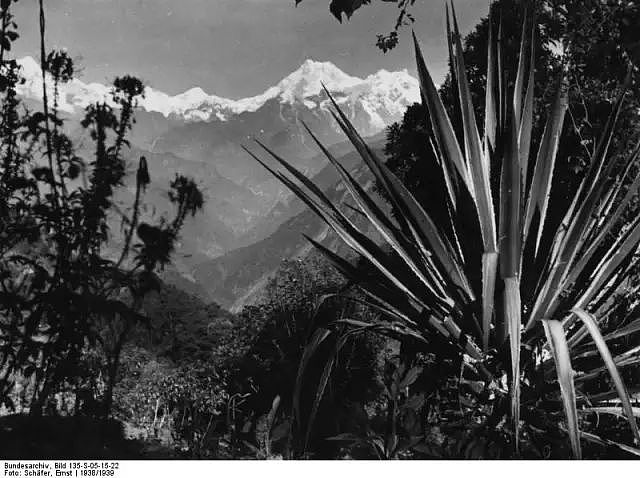 1938年，希特勒派人到西藏寻找日耳曼人祖先，留下了这组珍贵照片 - 29