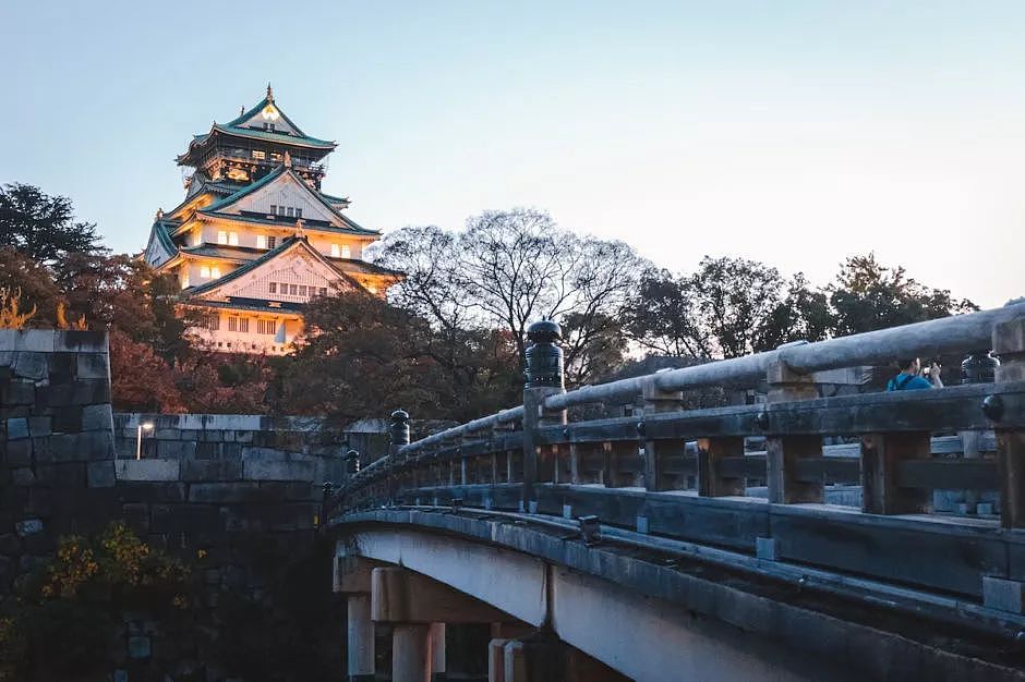8幅令人惊叹的图像，带你了解大阪所融合的新旧日本特色文化 - 9