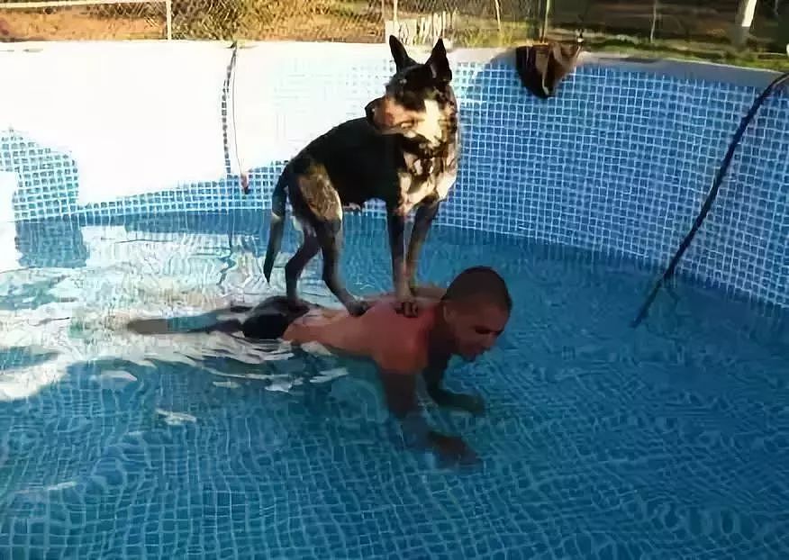 狗子下水之后发现就自己不会游泳，好尴尬呀… - 8